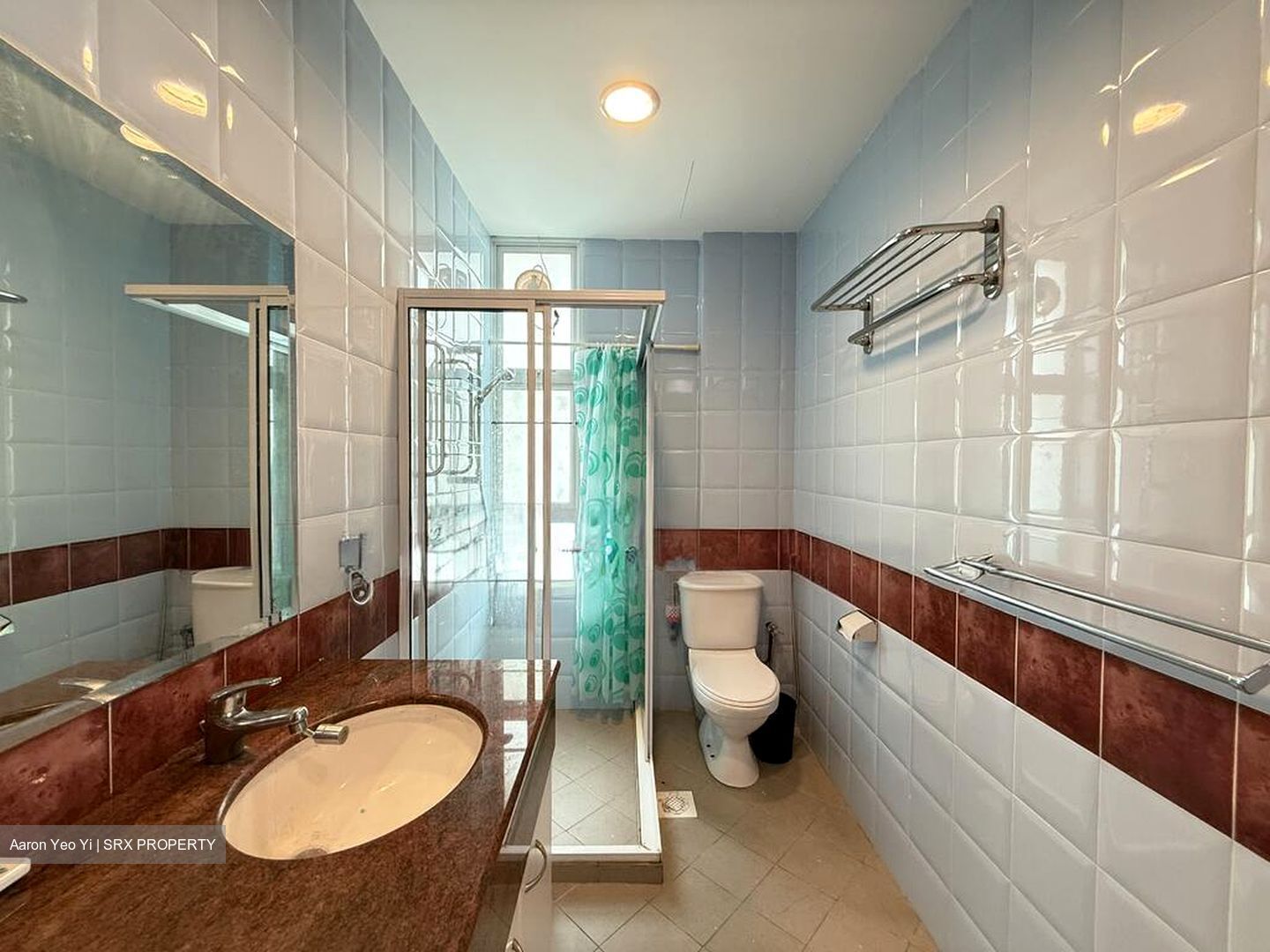 Chuan Place (D19), Semi-Detached #497267151